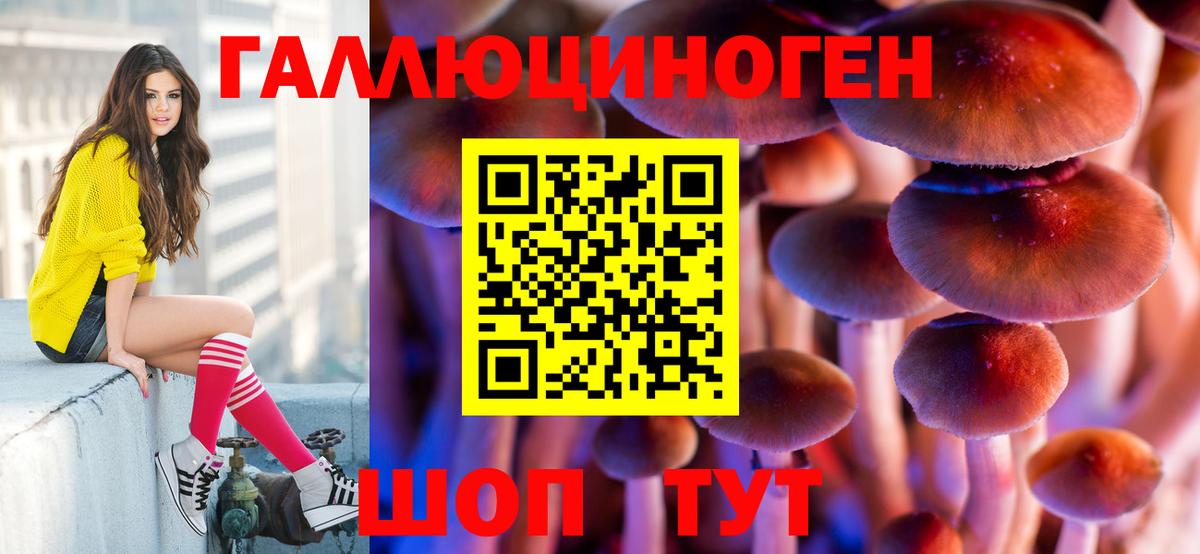 Нарьян-Мар  Псилоцибиновые грибы MAGIC MUSHROOMS  Вход с VPN 